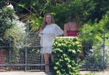 Is Nicole Kidman’s new rumoured boyfriend, Michael Reinstein, fluent in her love languages?