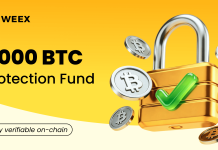 Cryptocurrency Market Enters Largest Consolidation, 67% of Revenue for Three Projects