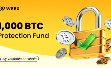 Cryptocurrency Market Enters Largest Consolidation, 67% of Revenue for Three Projects