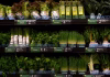 America’s Homegrown-Parasite Problem – The Atlantic