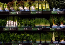 America’s Homegrown-Parasite Problem – The Atlantic