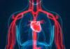 The heart health risk hiding in your bedroom, not your kitchen: Can poor sleep harm your heart even if you have a healthy lifestyle? Cardiologist explains the hidden risk |