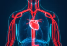 The heart health risk hiding in your bedroom, not your kitchen: Can poor sleep harm your heart even if you have a healthy lifestyle? Cardiologist explains the hidden risk |
