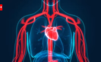 The heart health risk hiding in your bedroom, not your kitchen: Can poor sleep harm your heart even if you have a healthy lifestyle? Cardiologist explains the hidden risk |