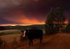 Not addressing climate change costs the economy more. When will we finally get this?