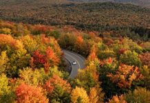3 of the best road trips for seeing foliage are in New England