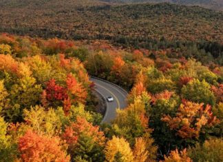 3 of the best road trips for seeing foliage are in New England