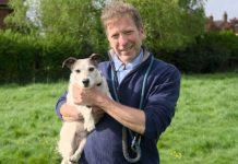 Yorkshire Vet star Julian Norton’s Skeldale exit explained | TV & Radio | Showbiz & TV