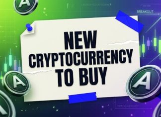 New Cryptocurrency to Buy With x150 Potential: AlphaPepe Turns