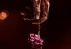 I Noticed Blood (Not A Body) In Ariana Grande’s New Music Video