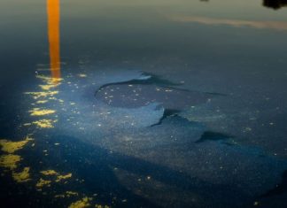 Reflecting Pool fiasco: Trump’s alternative facts crash into reality