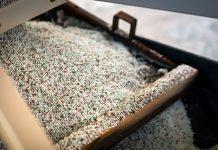 Can seasonal patterns help inform fertilizer purchasing decisions?