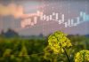 ICE Closing Review: Canola rises above negative markets