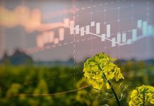 ICE Closing Review: Canola rises above negative markets