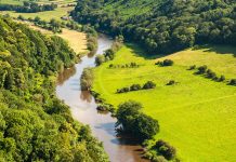Resilient economy and security through ecosystem transitions grants – UKRI
