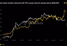 Dogecoin leads market rebound with 15% pump, bitcoin steady above $85,000