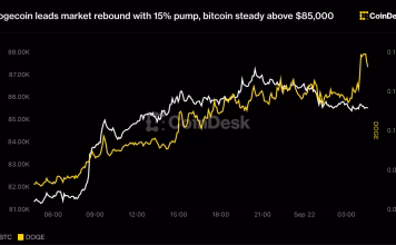 Dogecoin leads market rebound with 15% pump, bitcoin steady above $85,000