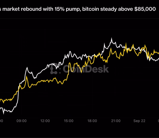 Dogecoin leads market rebound with 15% pump, bitcoin steady above $85,000