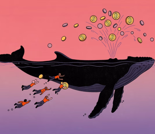 What the men who still love Bitcoin can tell us about the American economy.