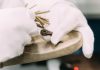 Discover the craft behind Birkenstock and Etro’s new collaboration – HERO