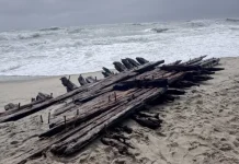 Maritime experts travel to Nantucket to investigate shipwreck remains exposed by nor’easter