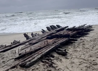 Maritime experts travel to Nantucket to investigate shipwreck remains exposed by nor’easter