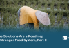 These Solutions Are a Roadmap to a Stronger Food System, Part II – Food Tank