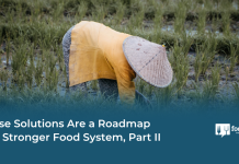 These Solutions Are a Roadmap to a Stronger Food System, Part II – Food Tank