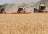 Global trade turmoil risks food price shock