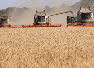 Global trade turmoil risks food price shock