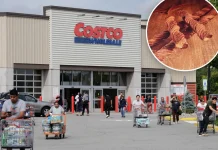 Costco’s beloved sweet treat is back — but there’s a catch