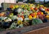 Clean your plate – to reduce food loss and waste