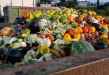 Clean your plate – to reduce food loss and waste