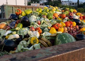 Clean your plate – to reduce food loss and waste