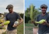 Proud David Beckham shows off bizarre looking homegrown veg | Lifestyle