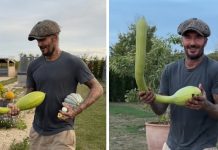 Proud David Beckham shows off bizarre looking homegrown veg | Lifestyle