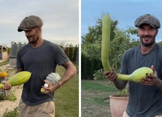 Proud David Beckham shows off bizarre looking homegrown veg | Lifestyle