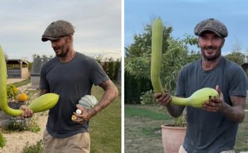 Proud David Beckham shows off bizarre looking homegrown veg | Lifestyle