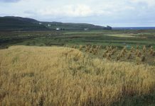 The humble Scottish breakfast with rich cultural significance : State of the World from NPR : NPR