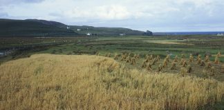 The humble Scottish breakfast with rich cultural significance : State of the World from NPR : NPR