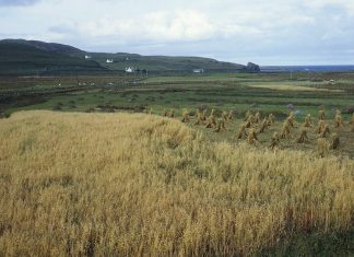 The humble Scottish breakfast with rich cultural significance : State of the World from NPR : NPR
