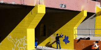 Fort Worth only top 10 US city without arts, culture department. Should that change?