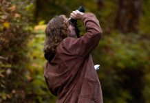 ‘Fledgling’ editor sees birding’s big picture