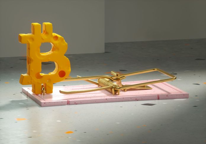 2p22Le6EA98xnjYAUEwPZh-2070-80.jpg