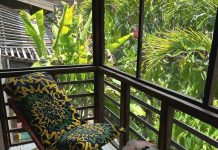 Dream House | Trudiann Hall’s unconventional abode | Lifestyle