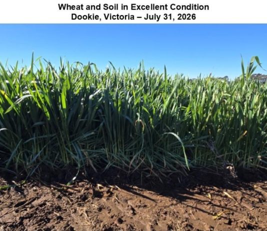Australia: In-season Winter Crop Travel Report