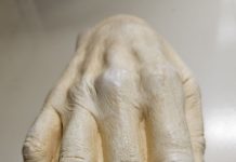 Idol Hands: Exploring the Music Division’s Digit-al Collections