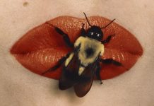 A lifetime of Irving Penn’s fashion photography at MEP