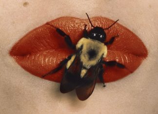 A lifetime of Irving Penn’s fashion photography at MEP