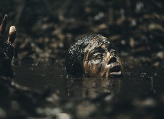 Movie Review: Killer-snake adventure “BEWARE BOIÚNA” is properly scaled